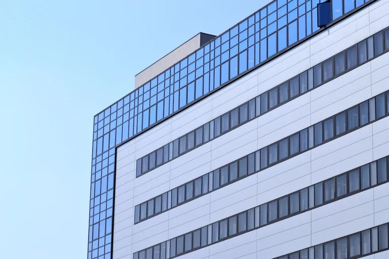 Ações que pagam dividendos: O guia completo para investir